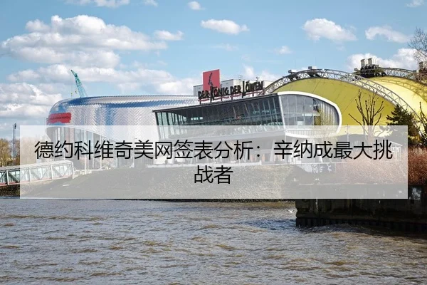 de-yue-ke-wei-qi-mei-wang-qian-biao-fen-xi-xin-na-cheng-zui-da-tiao-zhan-zhe-3-542.jpg