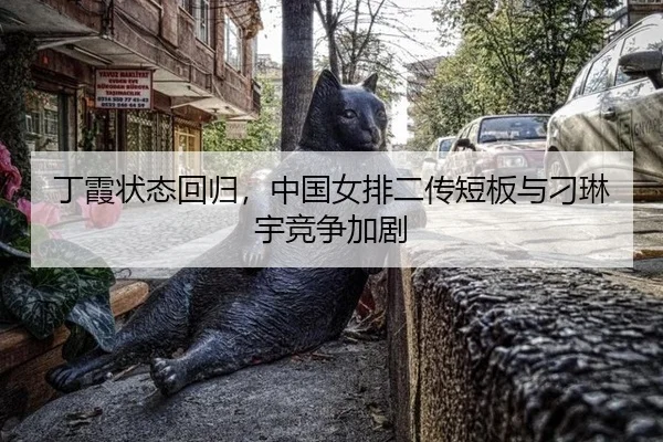丁霞状态回归，中国女排二传短板与刁琳宇竞争加剧